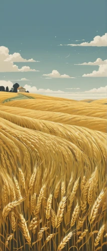 wheat field,wheat fields,wheat crops,grain field,wheat grasses,barley field,grain field panorama,straw field,strands of wheat,field of cereals,wheat,strand of wheat,wheat ears,wheat grain,cornfield,grain harvest,wheat ear,seed wheat,winter wheat,stubble field,Illustration,Japanese style,Japanese Style 08