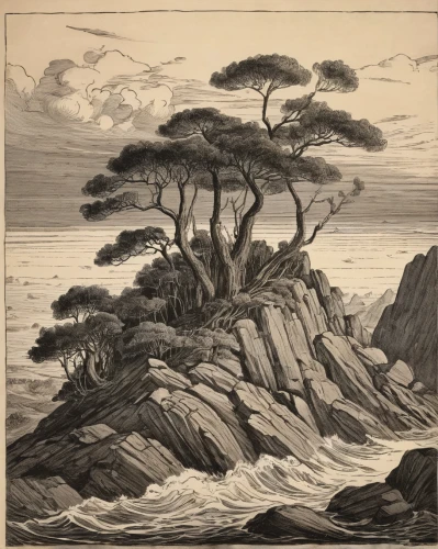 edward lear,robert duncanson,cool woodblock images,coastal landscape,landscape with sea,sea landscape,beach landscape,american pitch pine,lithograph,engraving,rocky coast,an island far away landscape,shortstraw pine,woodblock prints,araucaria,pine-tree,coastal and oceanic landforms,oregon pine,pebble beach,prostrate juniper,Illustration,Black and White,Black and White 29