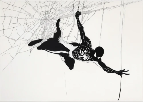 tangle-web spider,web,spider bouncing,spider-man,spider man,spider,spider's web,high-wire artist,spiderman,widow spider,spider silk,spider net,webs,webbing,spider web,spiderweb,spider network,arachnid,laundry spider,web element,Art,Artistic Painting,Artistic Painting 24
