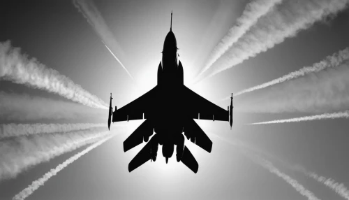 sukhoi su-35bm,sukhoi su-30mkk,mikoyan mig-29,sukhoi su-27,supersonic fighter,dassault rafale,supersonic aircraft,f-16,shenyang j-11,mikoyan-gurevich mig-21,f-15,dassault mirage 2000,supersonic transport,afterburner,mcdonnell douglas f-15 eagle,shenyang j-6,jet aircraft,saab jas 39 gripen,concorde,f-111 aardvark,Illustration,Black and White,Black and White 33