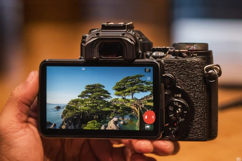 mirrorless interchangeable-lens camera,viewfinder,point-and-shoot camera,kiyomizu-dera,sony alpha 7,full frame camera,canon 5d mark ii,photo-camera,kiyomizu,miyajima,picture in picture,photo camera,digital slr,reflex camera,sony camera,digital camera,leica,photo lens,camera illustration,dslr,Conceptual Art,Daily,Daily 10