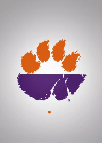 tiger png,tigers,tiger,pawprint,paw print,bengal,akita,automotive decal,no purple,mascot,seam,bengal tiger,hd flag,kalimantan,social logo,logo header,wildcat,a tiger,bear paw,women's lacrosse,Photography,Documentary Photography,Documentary Photography 06