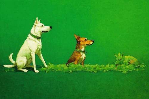 green animals,basenji,dog illustration,green background,toy fox terrier,green wallpaper,corgis,ibizan hound,malinois and border collie,color dogs,two dogs,hunting dogs,fox terrier,two running dogs,walking dogs,anthropomorphized animals,companion dog,dog poison plant,forest animals,dog and cat,Art,Classical Oil Painting,Classical Oil Painting 44