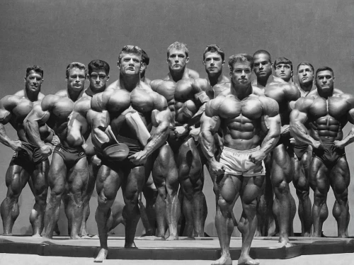 bodybuilding,body-building,body building,bodybuilder,fitness and figure competition,figure group,muscle man,muscle woman,edge muscle,anabolic,bodybuilding supplement,muscle angle,muscular system,crazy bulk,zurich shredded,muscular build,workout icons,muscular,shredded,sculpt,Art,Artistic Painting,Artistic Painting 28