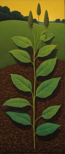 grant wood,crop plant,mustard plant,cultivated field,terrestrial plant,cultivation,vegetables landscape,tobacco leaves,seedling,agricultural,woodland sunflower,growth icon,field cultivation,green soybeans,cloves schwindl inge,agriculture,soybean,seedlings,celtuce,broad bean,Art,Artistic Painting,Artistic Painting 30