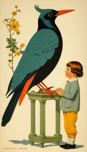 old world oriole,vintage illustration,flower and bird illustration,blackbird,brewer's blackbird,ornithology,ivory-billed woodpecker,blackbirds,passerine,bird illustration,oriole,corvidae,grackle,magpie,red-winged blackbird,vintage ilistration,kate greenaway,hans christian andersen,passerine bird,songbirds,Illustration,Retro,Retro 15