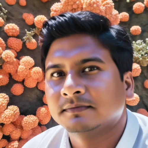 devikund,rudraksha,amitava saha,bangladeshi taka,thavil,social,bangladesh,image editing,arshan,benagil,dhansak,mahendra singh dhoni,raut,picture design,jawaharlal,sagar,santoor,pathiri,poriyal,composite