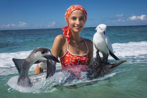 girl with a dolphin,trainer with dolphin,dolphin rider,the sea maid,seabird,hijaber,islamic girl,sea bird,muslim woman,muslima,seabirds,womans seaside hat,larus,sea birds,dolphin fish,surf fishing,dolphin swimming,seaduck,dolphin show,birds of the sea,Photography,Fashion Photography,Fashion Photography 16