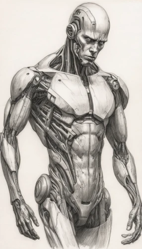 muscular system,biomechanical,muscle man,body-building,male poses for drawing,cyborg,body building,anatomical,medical illustration,biomechanically,edge muscle,muscle angle,human body anatomy,human anatomy,bodybuilder,human body,rmuscles,the human body,muscular,michelangelo,Illustration,Black and White,Black and White 35
