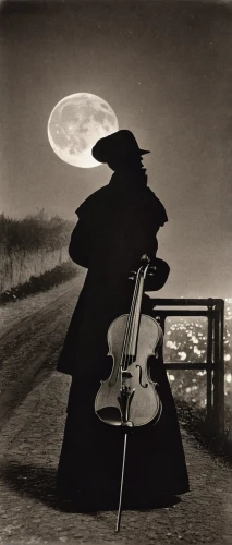 cellist,violinist violinist of the moon,cello,woman playing violin,violin woman,violoncello,bass violin,double bass,upright bass,itinerant musician,violin player,violist,violone,string instrument,folk music,violin,octobass,stringed instrument,woman playing,the gramophone,Photography,Black and white photography,Black and White Photography 15