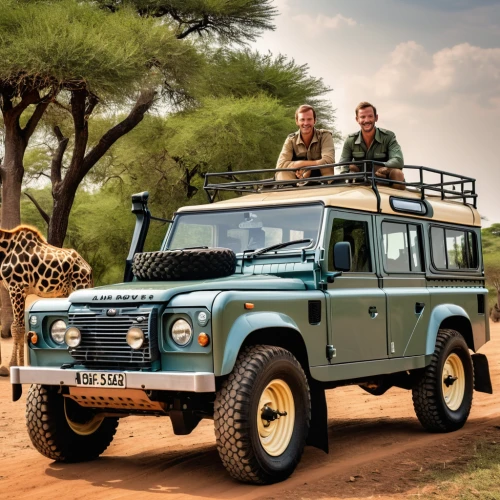 land rover series,land rover defender,safaris,safari,snatch land rover,land rover,land-rover,tsavo,serengeti,land rover discovery,kenya africa,open hunting car,south africa zar,south africa,expedition camping vehicle,toyota land cruiser,trophy hunting,etosha,wild animals,cheetah and cubs,Photography,General,Realistic