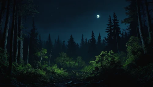 forest dark,forest background,black forest,moonlit night,night scene,coniferous forest,forest landscape,the forest,forest,elven forest,forests,haunted forest,the forests,forest of dreams,dark park,moonlit,forest glade,moonlight,fireflies,nightscape,Art,Classical Oil Painting,Classical Oil Painting 23