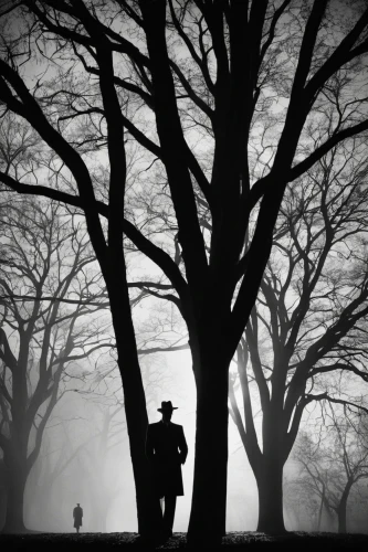 silhouette of man,vintage couple silhouette,old tree silhouette,man silhouette,tree silhouette,ballroom dance silhouette,film noir,monochrome photography,silhouetted,the silhouette,love in the mist,silhouettes,woman silhouette,fog banks,silent film,silhouette,foggy day,garden silhouettes,fog,ground fog,Photography,Black and white photography,Black and White Photography 08