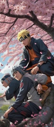 sakura background,japanese sakura background,boruto,chidori is the cherry blossoms,sakura blossoms,sakura branch,sakura trees,naruto,the cherry blossoms,sakura tree,sakura blossom,sakura flowers,sakura wreath,cherry blossoms,plum blossoms,sōjutsu,iaijutsu,cherry blossom,cold cherry blossoms,sakura flower,Illustration,Paper based,Paper Based 18