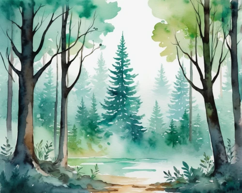 watercolor pine tree,watercolor background,forest background,fir forest,coniferous forest,forest landscape,watercolor tree,elven forest,spruce-fir forest,forests,spruce forest,forest,forest tree,the forests,pine trees,temperate coniferous forest,the forest,landscape background,foggy forest,mixed forest,Illustration,Paper based,Paper Based 25