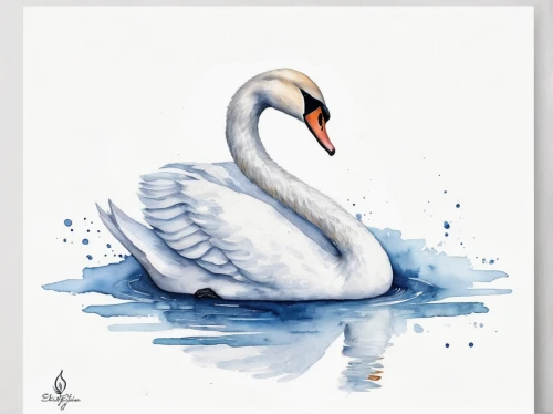 white swan,swan,trumpeter swan,tundra swan,swan on the lake,mute swan,constellation swan,swan boat,swan cub,swan lake,young swan,swans,mourning swan,swan pair,trumpet of the swan,cygnet,trumpeter swans,swan baby,the head of the swan,bird painting,Illustration,Paper based,Paper Based 24