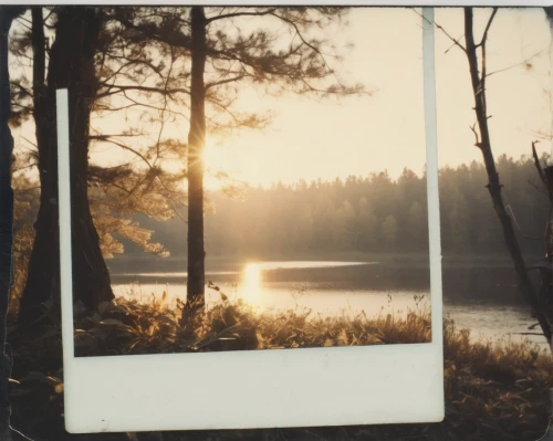 lubitel 2,agfa isolette,round autumn frame,autumn frame,agfa,film frames,polaroid pictures,espoo,enlarger,masuria,photographic film,light leak paper,exterior mirror,helios 44m,photo frame,helios 44m7,helios44,mirror in the meadow,camera film,instant camera,Photography,Documentary Photography,Documentary Photography 03