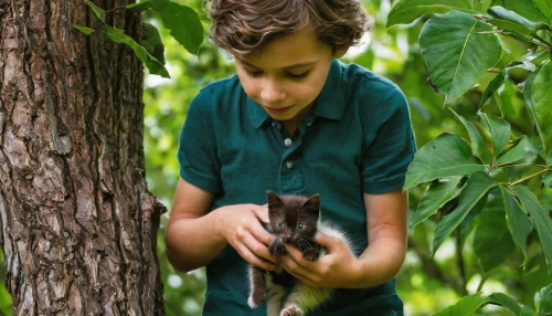 cub,child playing,collecting nut fruit,foraging,foragers,kopi luwak,common opossum,boy and dog,african bush squirrel,kiwi plantation,kinkajou,american mink,mustelid,virginia opossum,small münsterländer,young chestnut tree,pet,tree squirrel,child in park,oak kitten,Photography,Documentary Photography,Documentary Photography 33