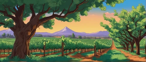 vineyards,grape plantation,grape vines,vineyard,grapevines,wine country,wine region,wine-growing area,viticulture,castle vineyard,fruit fields,napa valley,napa,wine growing,orchards,winery,grape vine,la rioja,sonoma,wine grapes,Illustration,Japanese style,Japanese Style 07