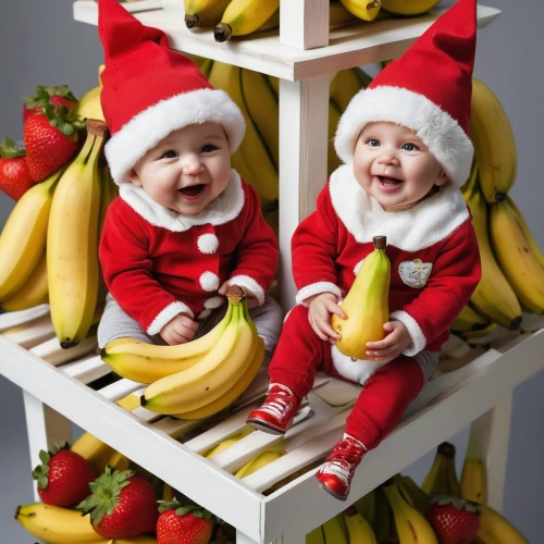 banana family,children's christmas photo shoot,christmas pictures,santa clauses,nanas,santa hats,christmas sweets,children's christmas,bananas,banana,hanging elves,baby & toddler clothing,onesies,elves,baby food,christmas photo,santons,christmas hats,children's photo shoot,diabetes in infant,Photography,General,Natural