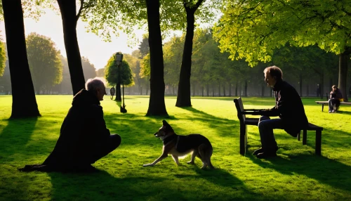 afghan hound,girl with dog,briard,tuileries garden,digital compositing,kennel club,queen-elizabeth-forest-park,photomanipulation,hanover hound,in the park,walk in a park,fantasy picture,photo manipulation,kensington gardens,women silhouettes,park bench,green space,idyll,world digital painting,green forest,Photography,Artistic Photography,Artistic Photography 10