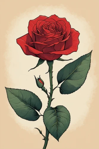 rose flower illustration,rose png,rose flower drawing,disney rose,rose drawing,red rose,romantic rose,lady banks' rose ,lady banks' rose,rose,landscape rose,arrow rose,rose non repeating,historic rose,rose flower,rose bloom,bright rose,ground rose,petal of a rose,frame rose,Illustration,Vector,Vector 03