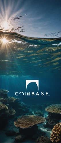cottagecore,submerge,concierge,ocean background,courage,comatus,copyspace,coronarest,cryptocoin,crypto mining,digital currency,underwater landscape,cube sea,submersible,connectcompetition,underwater background,corrosive,crypto-currency,courageous,core,Photography,Artistic Photography,Artistic Photography 01