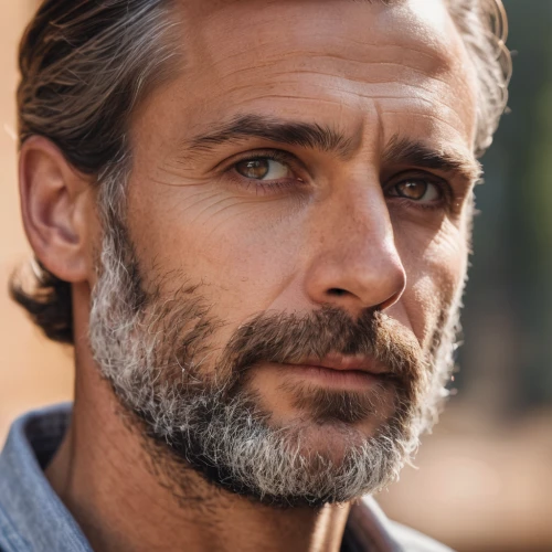 man portraits,management of hair loss,casement,beard,regard,follicle,male model,stubble,facial hair,htt pléthore,casado,styrian coarse-haired hound,bearded,face portrait,aging icon,uomo vitruviano,whiskered,berger picard,east-european shepherd,silver fox,Photography,General,Natural