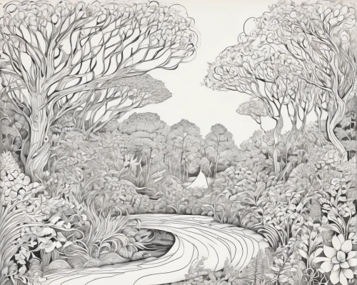 the dark hedges,brook landscape,beech hedge,tree canopy,tree grove,forest landscape,beech trees,copse,snow trees,snow drawing,cartoon forest,forests,bare trees,trees,forest road,winter landscape,trees with stitching,deciduous forest,forest path,the forests,Illustration,Black and White,Black and White 05