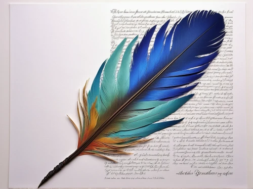 color feathers,feather pen,peacock feather,feather jewelry,white feather,feather,hawk feather,peacock feathers,parrot feathers,bird feather,feather on water,chicken feather,black feather,feather headdress,bird of paradise,feathers,pigeon feather,prince of wales feathers,beak feathers,bird painting,Illustration,Paper based,Paper Based 10