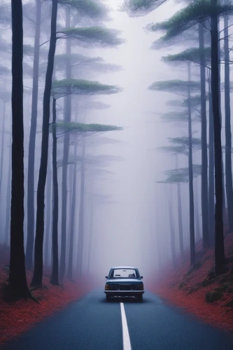 foggy forest,vanishing point,forest road,3d car wallpaper,road forgotten,long road,the road,open road,ghost car,road to nowhere,foggy,ghost car rally,empty road,fog,the fog,beetle fog,foggy landscape,alpine drive,winding road,oncoming,Illustration,Japanese style,Japanese Style 20