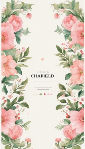 chamomile,watercolor floral background,floral border paper,floral digital background,floral background,pink floral background,clamshell,chandelier,started-carnation,white floral background,cd cover,floral greeting card,camelliers,camellia,floral silhouette border,paper flower background,chamomiles,tropical floral background,chamomille,camellias,Illustration,Retro,Retro 19