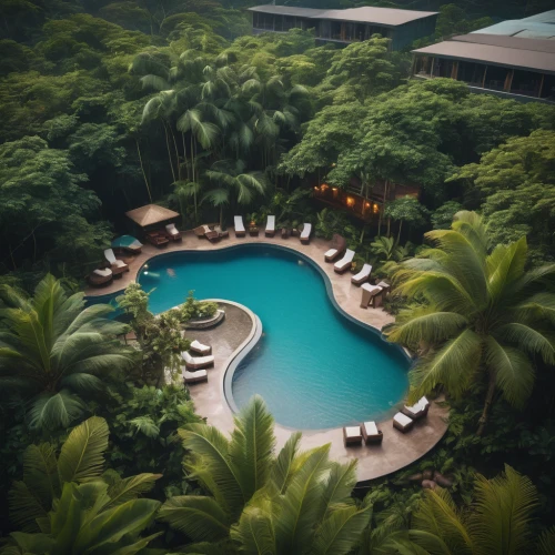 infinity swimming pool,tropical island,tropical greens,tropical jungle,tropical house,philippines,resort,tropics,vietnam,outdoor pool,swimming pool,secluded,holiday complex,volcano pool,guam,hawaii,seychelles,kohphangan,danyang eight scenic,underwater oasis,Photography,General,Cinematic