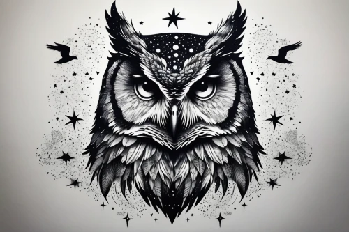 owl art,owl drawing,owl mandala pattern,owl pattern,owl,owl background,owl-real,owl nature,owls,nocturnal bird,boobook owl,rabbit owl,large owl,grey owl,owl eyes,constellation wolf,couple boy and girl owl,the great grey owl,sparrow owl,gryphon,Illustration,Black and White,Black and White 09