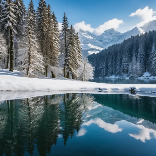 south tyrol,winter lake,winter landscape,frozen lake,snow landscape,snowy landscape,southeast switzerland,austria,east tyrol,lake misurina,winter background,tyrol,dolomites,eastern switzerland,south-tirol,antorno lake,ortler winter,alpine lake,alpsee,slovenia,Photography,General,Realistic