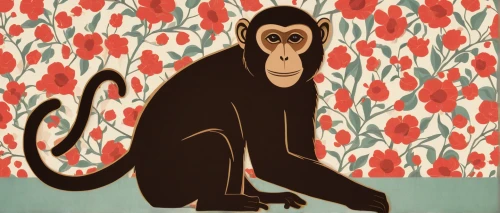 barbary monkey,primate,siamang,monkey,primates,monkeys band,chimp,langur,chimpanzee,cercopithecus neglectus,the monkey,gibbon,war monkey,anthropomorphized animals,barbary ape,common chimpanzee,baboon,monkey soldier,monkey banana,bonobo,Art,Artistic Painting,Artistic Painting 08
