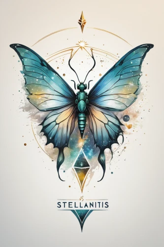 stellagama,sterntaler,melanargia,stellata,starfield,fractalius,meridians,cd cover,spectabilis,colias,stele,sibelius,stellaria,hesperia (butterfly),star sign,tour to the sirens,helianthus,butterfly vector,promethea silkmoth,reptilia,Illustration,Paper based,Paper Based 03