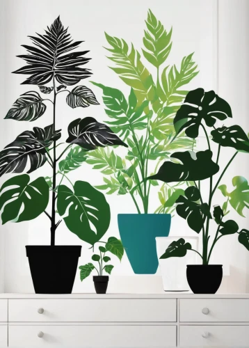 house plants,potted plants,plants in pots,houseplant,money plant,tube plants,green plants,exotic plants,pot plant,plants,balcony plants,dark green plant,botanical line art,phyllanthus family,outdoor plants,plants growing,hanging plants,water-leaf family,fat plants,ornamental plants,Illustration,Black and White,Black and White 31