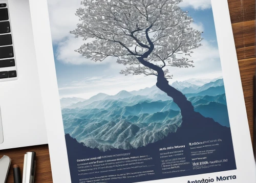 poster mockup,flourishing tree,isolated tree,cardstock tree,advert copyspace,wordpress design,deciduous tree,art flyer,email marketing,inkjet printing,print template,birch tree illustration,white paper,arborist,argan tree,the japanese tree,financial newspaper page,poster,the print edition,branching,Photography,Black and white photography,Black and White Photography 07