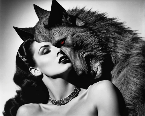 man-eater,joan crawford-hollywood,tura satana,vintage halloween,vintage cat,vintage cats,werewolf,jean simmons-hollywood,jane russell,rita hayworth,she feeds the lion,cat love,elizabeth taylor-hollywood,maneater,werewolves,feline look,cat lovers,purr,felines,hedy lamarr-hollywood,Photography,Black and white photography,Black and White Photography 09