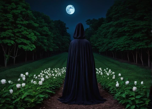 grimm reaper,grim reaper,the night of kupala,dance of death,sleepwalker,hooded man,moonflower,fantasy picture,reaper,dark art,burial ground,pall-bearer,way of the roses,the mystical path,hollow way,the grave in the earth,the nun,pilgrimage,photomanipulation,witch house,Photography,Documentary Photography,Documentary Photography 34