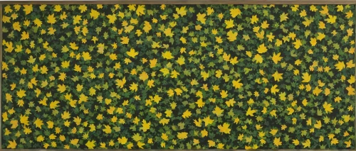 daffodils,yellow leaves,yellow tulips,blanket of flowers,fall leaf border,leaf pattern,leaf border,field of rapeseeds,daffodil field,anellini,flower fabric,tulips,yellow wallpaper,yellow flowers,tulip field,floral border,lemon pattern,leaves,sunflower paper,banana leaf,Conceptual Art,Oil color,Oil Color 15