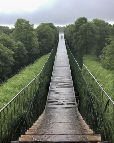 rope bridge,hanging bridge,pontsycyllte,suspension bridge,hangman's bridge,wooden bridge,scenic bridge,footbridge,extradosed bridge,ski jump,passerelle,jacob's ladder,moveable bridge,hohenzollern bridge,segmental bridge,stairway to heaven,bailey bridge,canopy walkway,humpback bridge,bridge,Conceptual Art,Daily,Daily 05