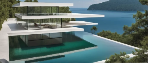 luxury property,house by the water,house with lake,holiday villa,modern architecture,infinity swimming pool,lago grey,modern house,cube stilt houses,dunes house,glass facade,glass facades,futuristic architecture,pool house,luxury real estate,cubic house,mirror house,villas,luxury home,private house,Illustration,Black and White,Black and White 32