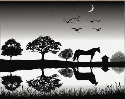animal silhouettes,man and horses,cowboy silhouettes,two-horses,equine,wild horses,horses,equines,horse herder,black horse,horse free,horse herd,horse-heal,silhouette art,beautiful horses,horse riders,horse-drawn,mirror in the meadow,horse breeding,wild horse,Illustration,Black and White,Black and White 31