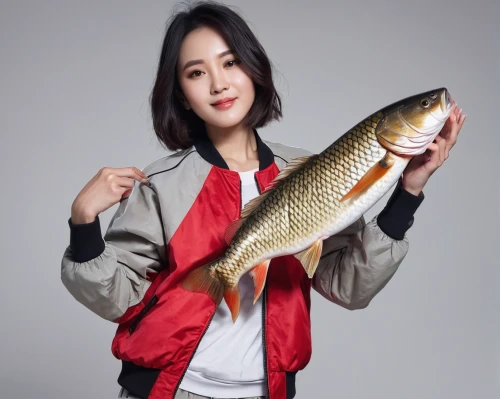 common carp,brocade carp,giant carp,casting (fishing),carp tail,fishing classes,fish pictures,freshwater fish,fish,koi carp,fish oil,fish products,fish-surgeon,beautiful fish,koi,fish caught,red fish,turtle ship,types of fishing,songpyeon,Photography,General,Natural