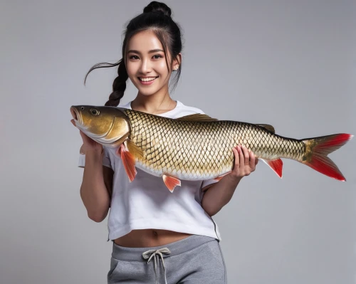 giant carp,brocade carp,common carp,fish oil,freshwater fish,fish products,carp tail,tobaccofish,tilapia,fish oil capsules,chinese sturgeon,beautiful fish,barramundi,casting (fishing),fish pictures,bia hơi,xuan lian,fish,fish gold,arctic char,Photography,General,Natural