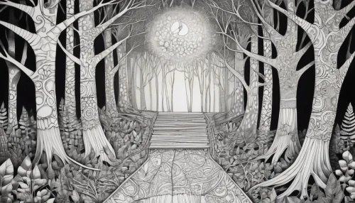 forest path,birch tree illustration,the dark hedges,hollow way,book illustration,enchanted forest,the forest,the mystical path,haunted forest,elven forest,forest of dreams,pathway,the forests,tree grove,birch forest,threshold,the woods,forest glade,winter forest,sci fiction illustration,Illustration,Black and White,Black and White 11