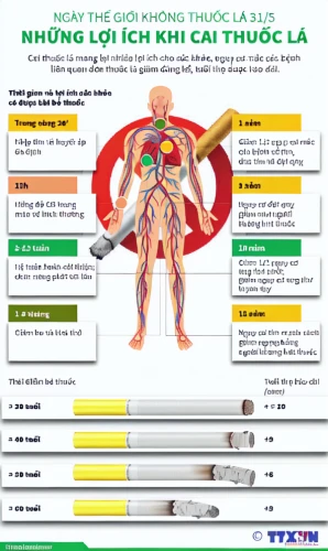 medical concept poster,chinese medicine,lung cancer,gỏi cuốn,traditional chinese medicine,lung ching,nước chấm,info graphic,chả lụa,intubation,mì quảng,human digestive system,respiratory protection,infographics,lung,cao lầu,chạo tôm,smoking cessation,cơm tấm,vector infographic