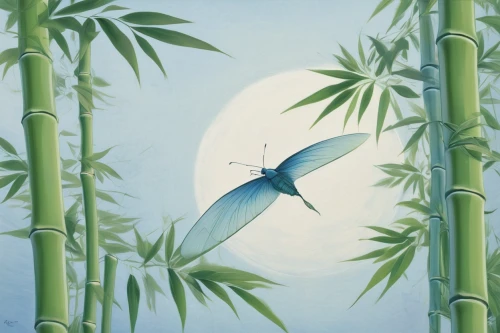 hawaii bamboo,bamboo,oriental painting,dragonflies and damseflies,studio ghibli,flying seed,bamboo forest,bamboo plants,flying insect,dragonflies,banded demoiselle,winged insect,chinese art,flying seeds,lepidopterist,zongzi,tropical bird climber,lemongrass,humming bird moth,luo han guo,Conceptual Art,Fantasy,Fantasy 07